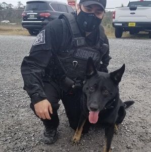 Meet your Posher, Sheila